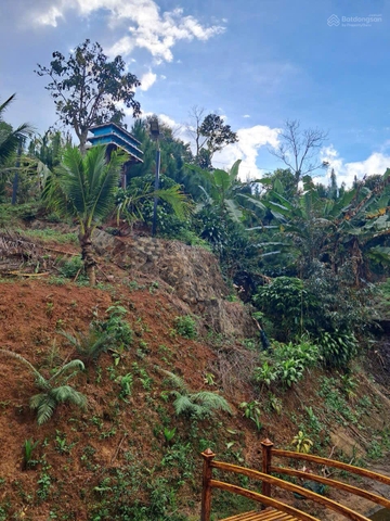 Đất Bảo Lộc tại B'Lao