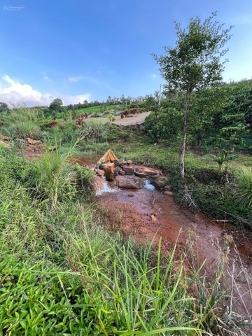 Đất Lâm Đồng gần suối thư giãn phong thủy