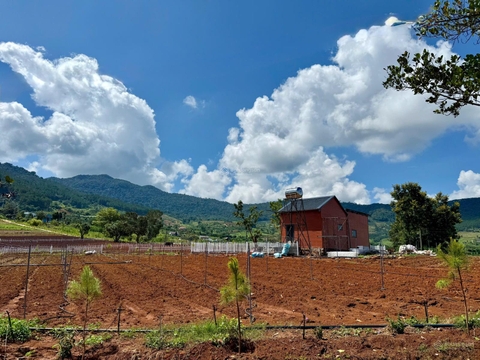 Đất Lâm Hà tại Đông Thanh