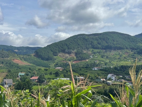 Đất Nền Đà Lạt Gần Trung Tâm