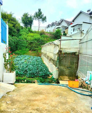 Bán đất nền Đà Lạt tại đường Xô Viết Nghệ Tĩnh