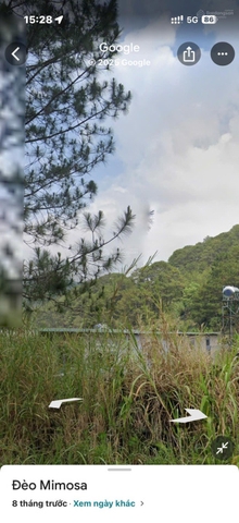 Mua bán đất Đà Lạt tại Bùi Thị Xuân