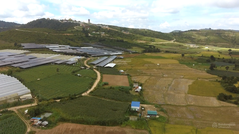 Mua bán Đông Dương xã Tu Tra giá tốt