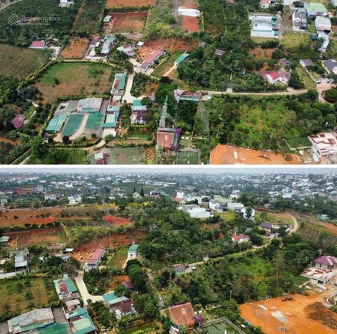 Đất nền Bảo Lộc đường Nguyễn Trãi