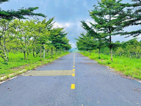 Khu dân cư Park Hill 4C – Lựa chọn chiến lược giữa thị trường đất nền Bảo Lộc