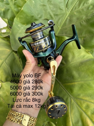 Máy câu cá Yolo BF mạ vàng siêu cute