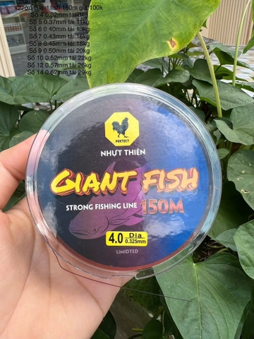 Cước câu cá NT Giant Fish