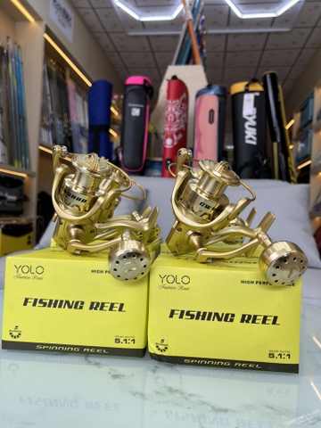 Máy câu cá yolo GW mạ vàng cute