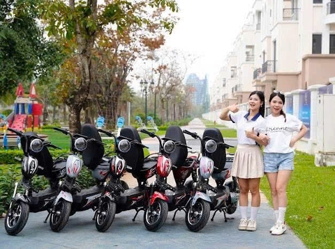 Xe điện 133 gaint bàn đạp và không bàn đạp bình to 20a