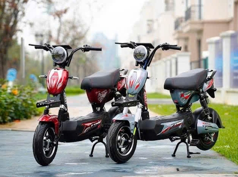 Xe điện 133 gaint bàn đạp và không bàn đạp bình to 20a