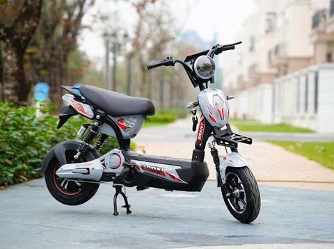 Xe điện 133 gaint bàn đạp và không bàn đạp bình to 20a