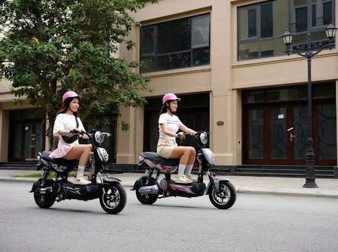 Xe điện 133 gaint bàn đạp và không bàn đạp bình to 20a