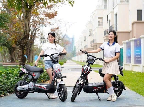 Xe điện 133 gaint bàn đạp và không bàn đạp bình to 20a