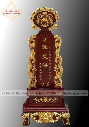 BÀI VỊ MẶT TRỜI