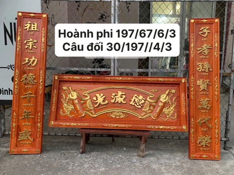 Mẫu 11