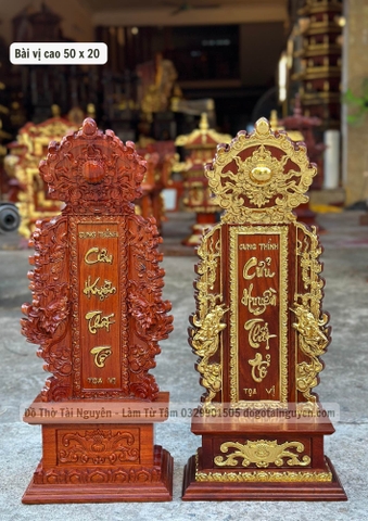 BÀI VỊ MẶT TRỜI