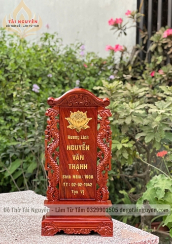 BÀI VỊ SONG LONG