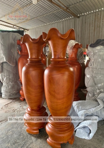 Lục Bình 2m
