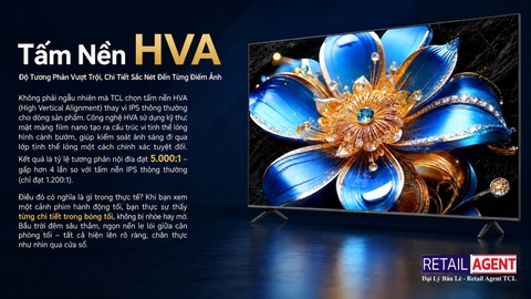 Google Tivi QLED TCL 4K 65 inch 65T6D