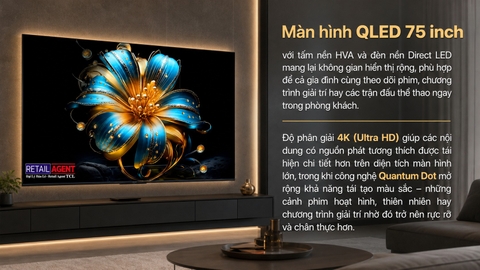 Google Tivi QLED TCL 75T6D 4K 75 inch