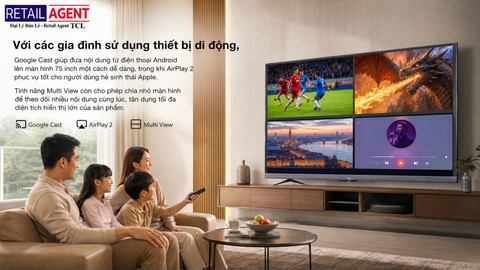 Google Tivi QLED TCL 75T6D 4K 75 inch