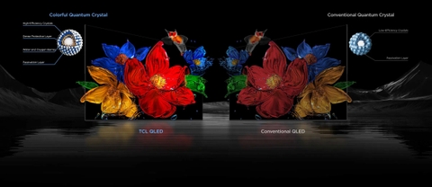 Google Tivi TCL QD-Mini LED 4K 55 Inch 55P8LS