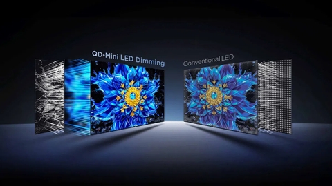 Google Tivi TCL QD-Mini LED 4K 75 Inch 75P8LS