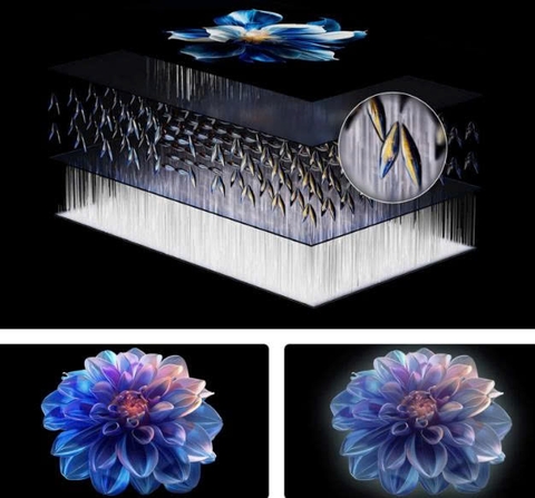 Google Tivi TCL QLED 50 Icnh 50P7L