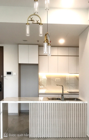 DISTRICT 7 CARDINAL COURT APARTMENT 2 BEDROOMS FOR RENT