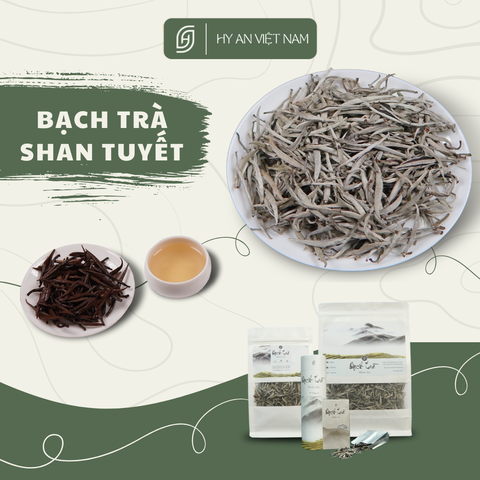 Bạch Trà Thượng Hạng