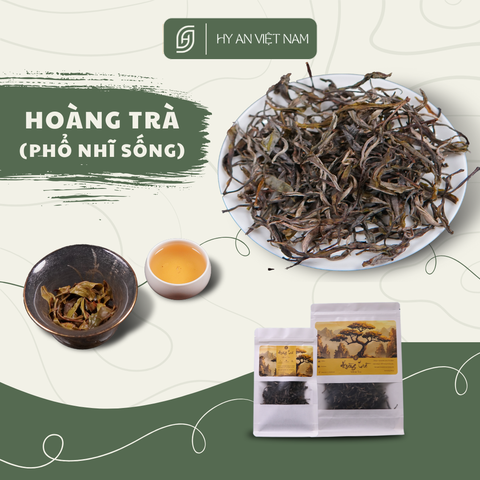 Hoàng trà shan tuyết Hà Giang