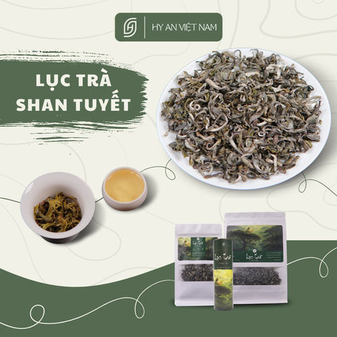 Lục Trà Shan Tuyết Hà Giang
