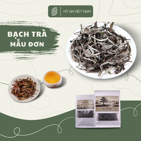 Bạch Trà Mẫu Đơn