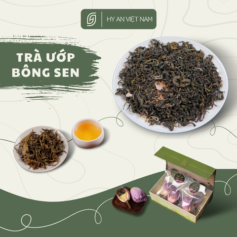 Trà sen Tây Hồ- Hy An- Hộp gồm 6 bông- Hộp quà biếu- nước trà thơm ngon- Trà shan tuyết ướp sen tươi