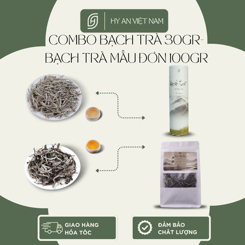 Combo Bạch trà thượng hạng - Trà đặc sản Hy An Việt Nam