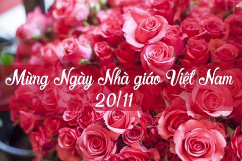 Gợi ý quà 20/11 cho cô giáo mầm non ý nghĩa & tinh tế