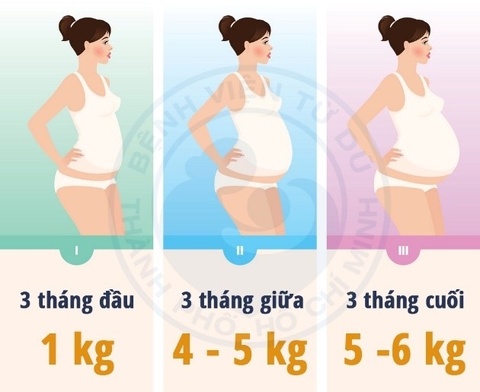 Bổ sung thực phẩm như thế nào để cả con và mẹ đều khỏe mạnh ?