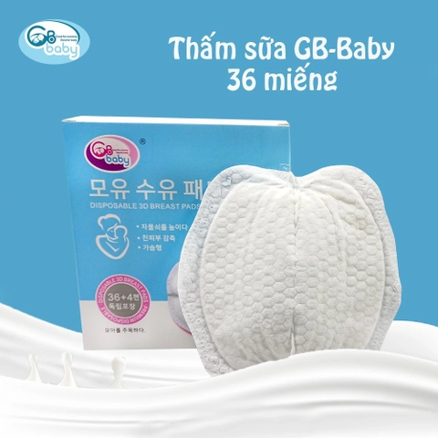 Thấm sữa GB 36M