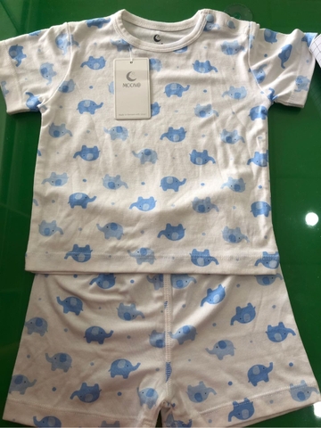 Bộ QA Cộc Cài Vai