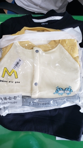 Áo cổ tròn dài tay - DA325