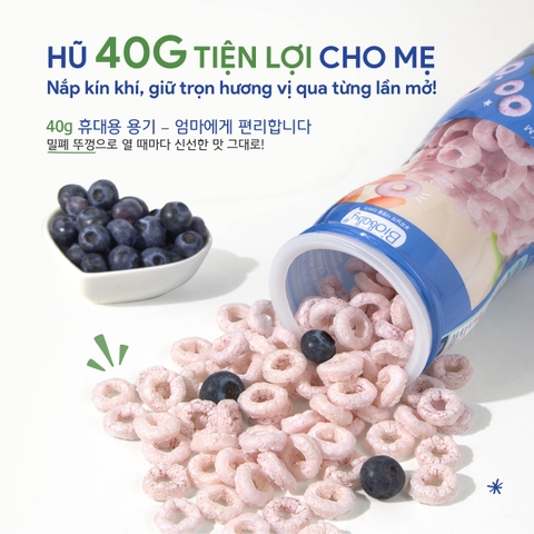 Bánh ăn dặm Biobaby – Vị việt quất hũ 40g