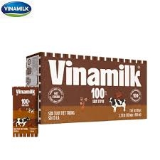 Vinamilk 100% socola 110ml