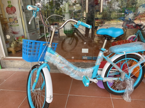 Xe đạp bánh hơi 20ich loại đẹp - 30đ( Nữ)