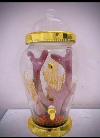 Rượu Nhung Hươu Sâm