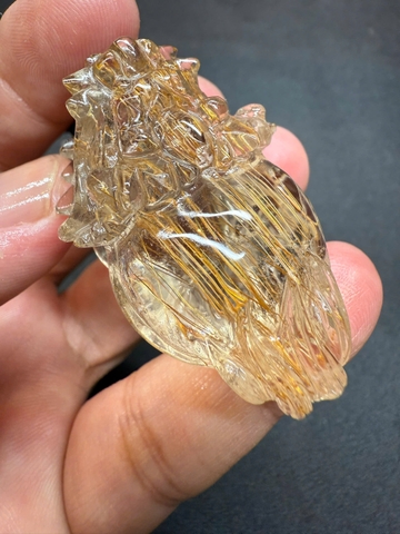 MẶT DÂY LONG QUY  TÓC NÂU