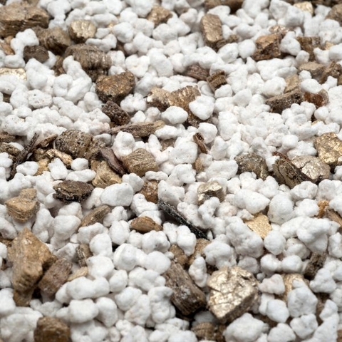 Đá Perlite: Ứng dụng trong làm vườn và cách sử dụng hiệu quả