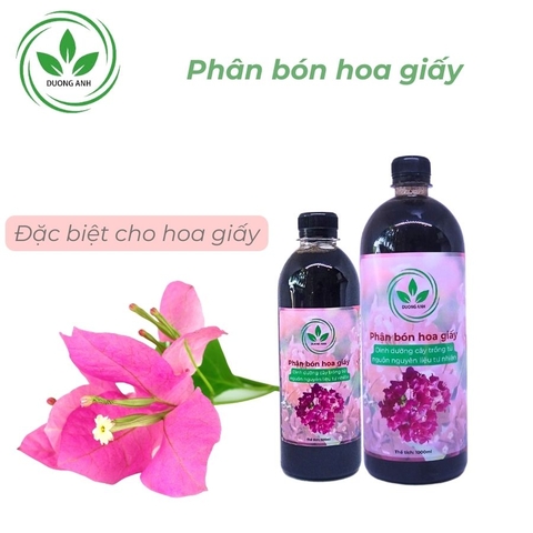 Phân bón hoa giấy | DƯƠNG ANH
