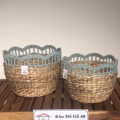 SỌT LỤC BÌNH SÒ ĐIỆP VIỀN MÀU PASTEL – HÀNG XUẤT ÂU