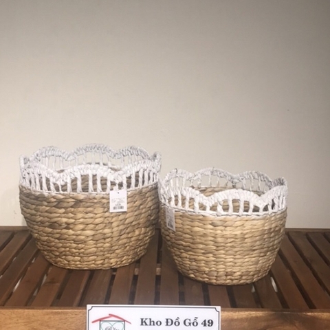 SỌT LỤC BÌNH SÒ ĐIỆP VIỀN MÀU PASTEL – HÀNG XUẤT ÂU