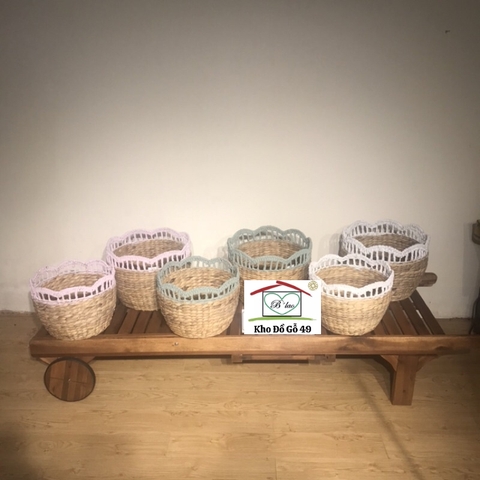 SỌT LỤC BÌNH SÒ ĐIỆP VIỀN MÀU PASTEL – HÀNG XUẤT ÂU